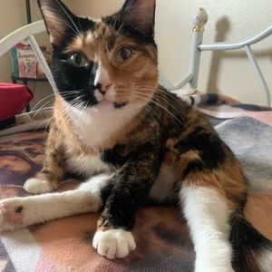 Meet your Posher, Valarie